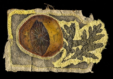 Grace Willard - Oak Gall Interior Grace Willard - Oak Gall Interior
