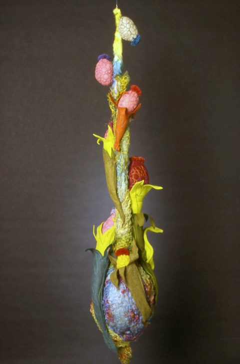 Leisa Rich - Frogs Eat Butterflies Leisa Rich - Playing With Dimension