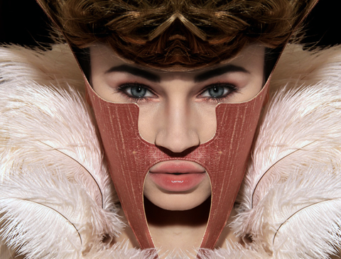 Paddy Hartley | Mixed Media Paddy Hartley - Face Corset
