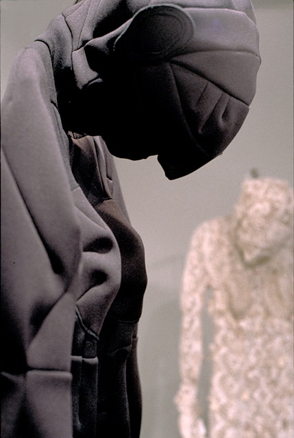 The &Quot;Plastic&Quot; Arts | Mixed Media Elizabeth Ingraham/from the "Skins" series