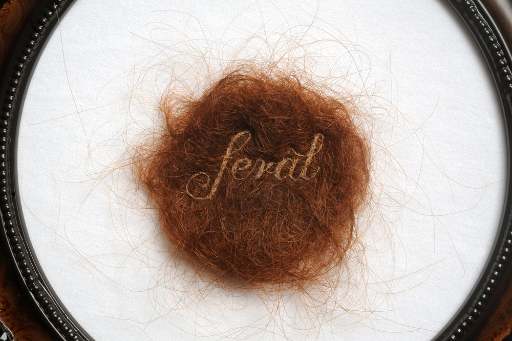 Kate Kretz - Feral (2012) (detail)