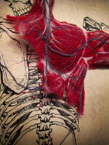 Trio Of Body Parts