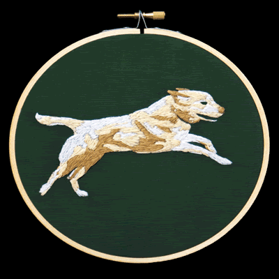 Aubrey Longley-Cook | Cross Stitch Aubrey Longley Cook - Runaway - Animated Hand Embroidery
