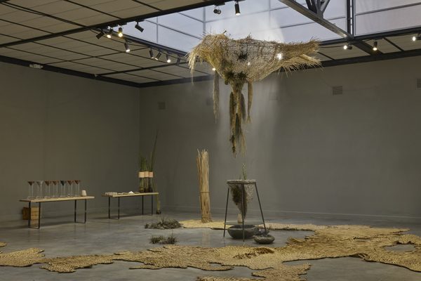 Ana Teresa Barboza Honours The Power Of Nature With Her Installations Ana Teresa Barboza - Water Ecosystem (2018)