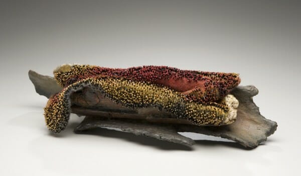 Dream Felt Susan Aaron-Taylor - Rubedo