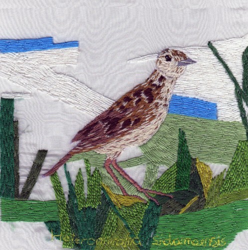 The Cutting (&Amp; Stitching) Edge - Lisa Reichmann Lisa Reichmann - Heteromirafra Sidamoensis