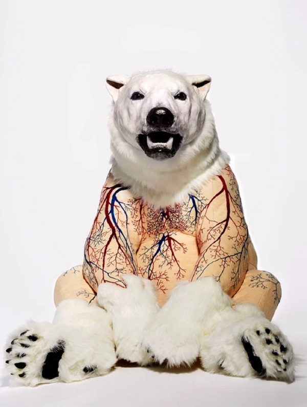 Deborah Simon: The Artistic Intersection Of Taxidermy, Toys, And Sculpture Deborah Simon - Flayed Bears Ursus maritimus