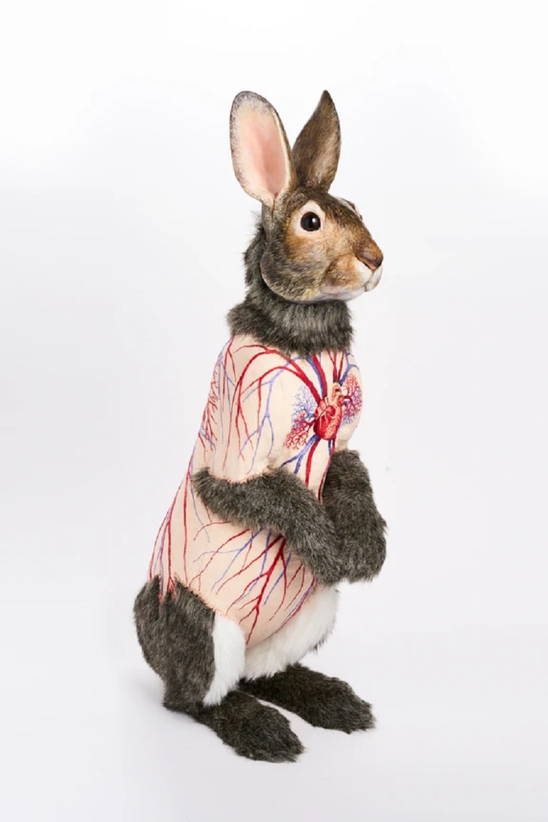 Deborah Simon: The Artistic Intersection Of Taxidermy, Toys, And Sculpture Deborah Simon - Flayed Rabbit Cottontail