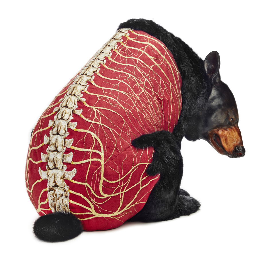 Deborah Simon - Ursus americanus