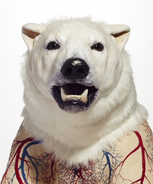 Deborah Simon: The Artistic Intersection Of Taxidermy, Toys, And Sculpture Deborah Simon - Ursus maritimus - face detail