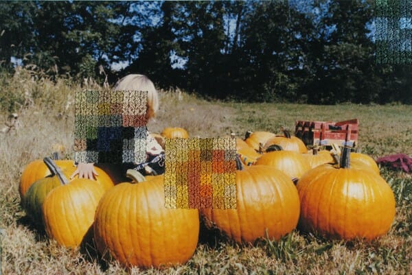 Dying For X-Stitch Fabric | Cross Stitch Diane Meyer - New Jersey I - cross stitch on photograph