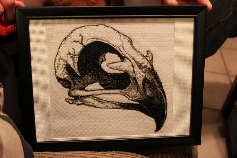 Sarah Hamilton - Hawk skull cross stitch
