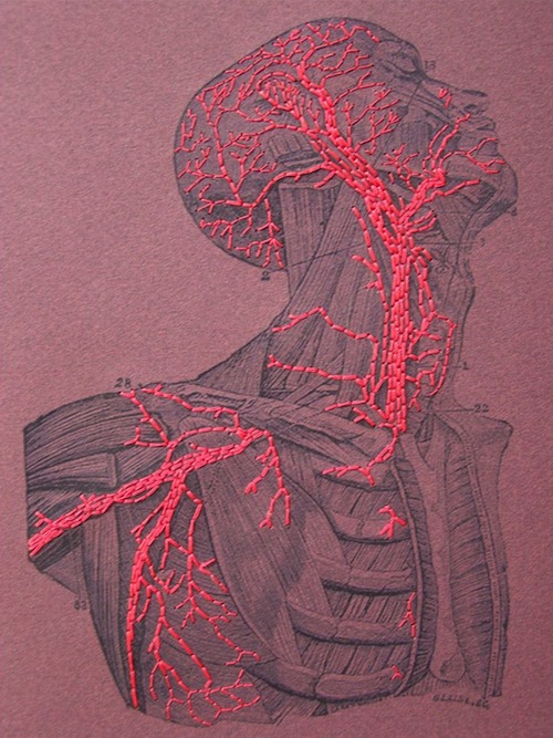 Exploring Etsy - Fabulous Cat Papers Anatomy Notebook by Fabulous Cat Papers (Hand embroidery)