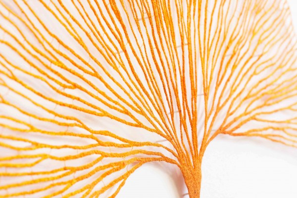 These Machine Embroidery Artists Will Inspire You Meredith Woolnough - Ginko Biloba