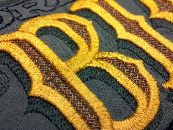 Digitizing With Dimension | Machine Embroidery Dream Big - B Detail